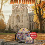 "Lumina" Circle Crossbody Bag Deal
