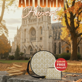 "Serena" Circle Crossbody Bag Deal